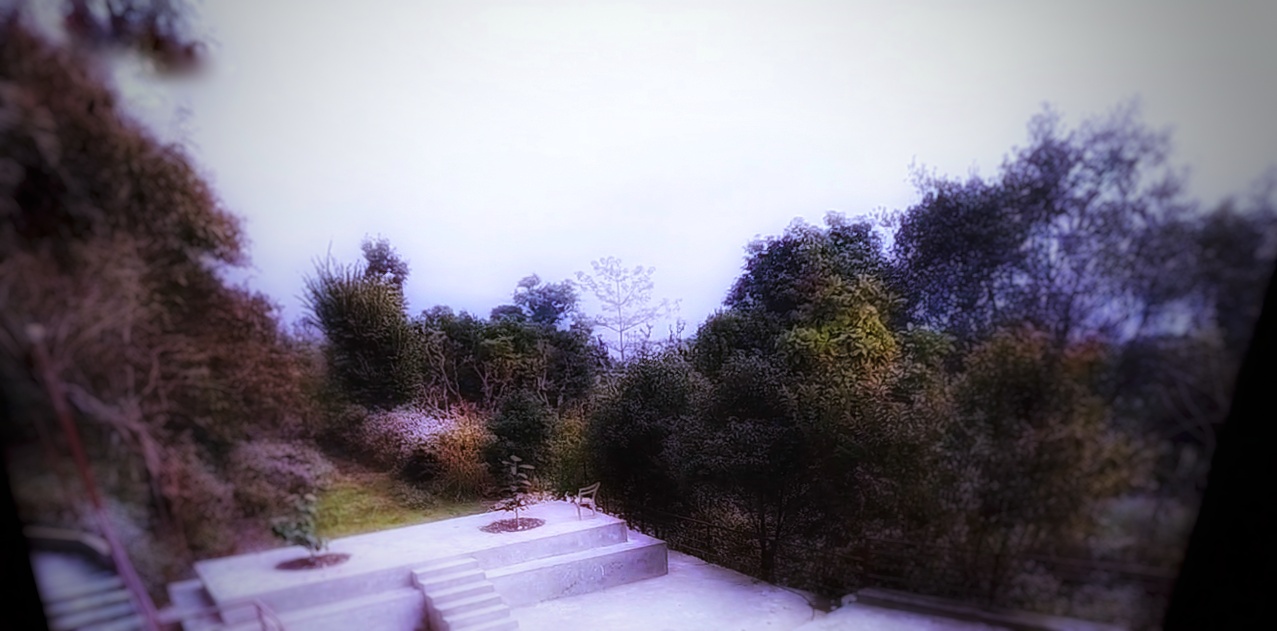 Meditation